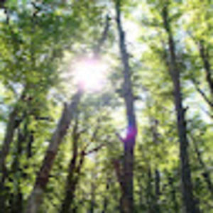 Meet your Posher, Corrina